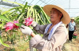 金华首家 花园农发公司成为全国新型职业农民培育示范基地