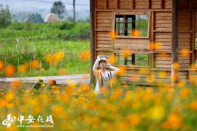 黄山市人民政府